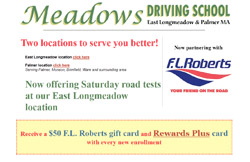 Meadows Driving School screenshot