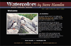 Steve Hamlin Watercolors screenshot